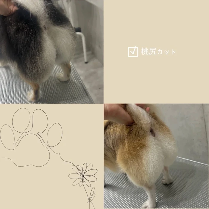 画像962