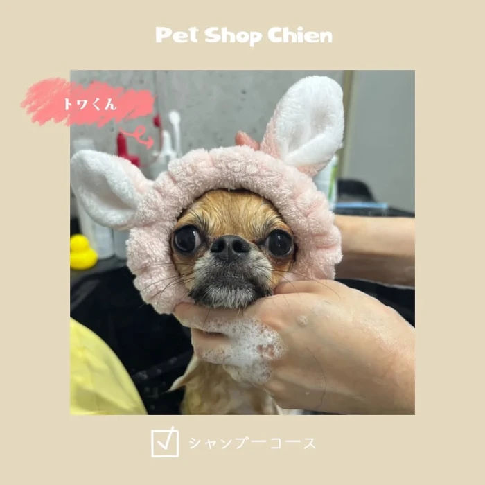 画像975