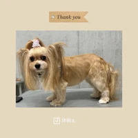 画像982