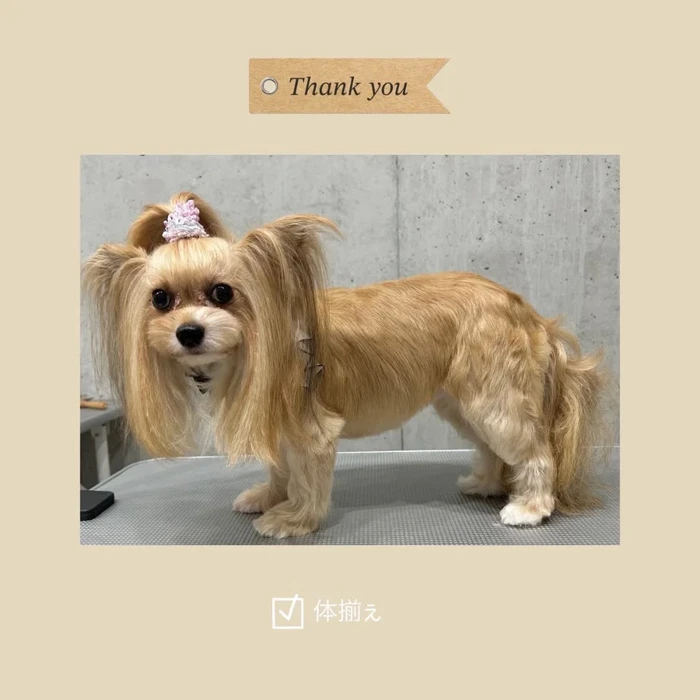 画像982