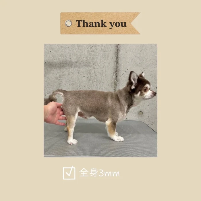 画像986
