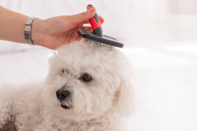 愛犬の快適性を重視した施術