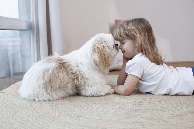 3. シニア犬の健康管理